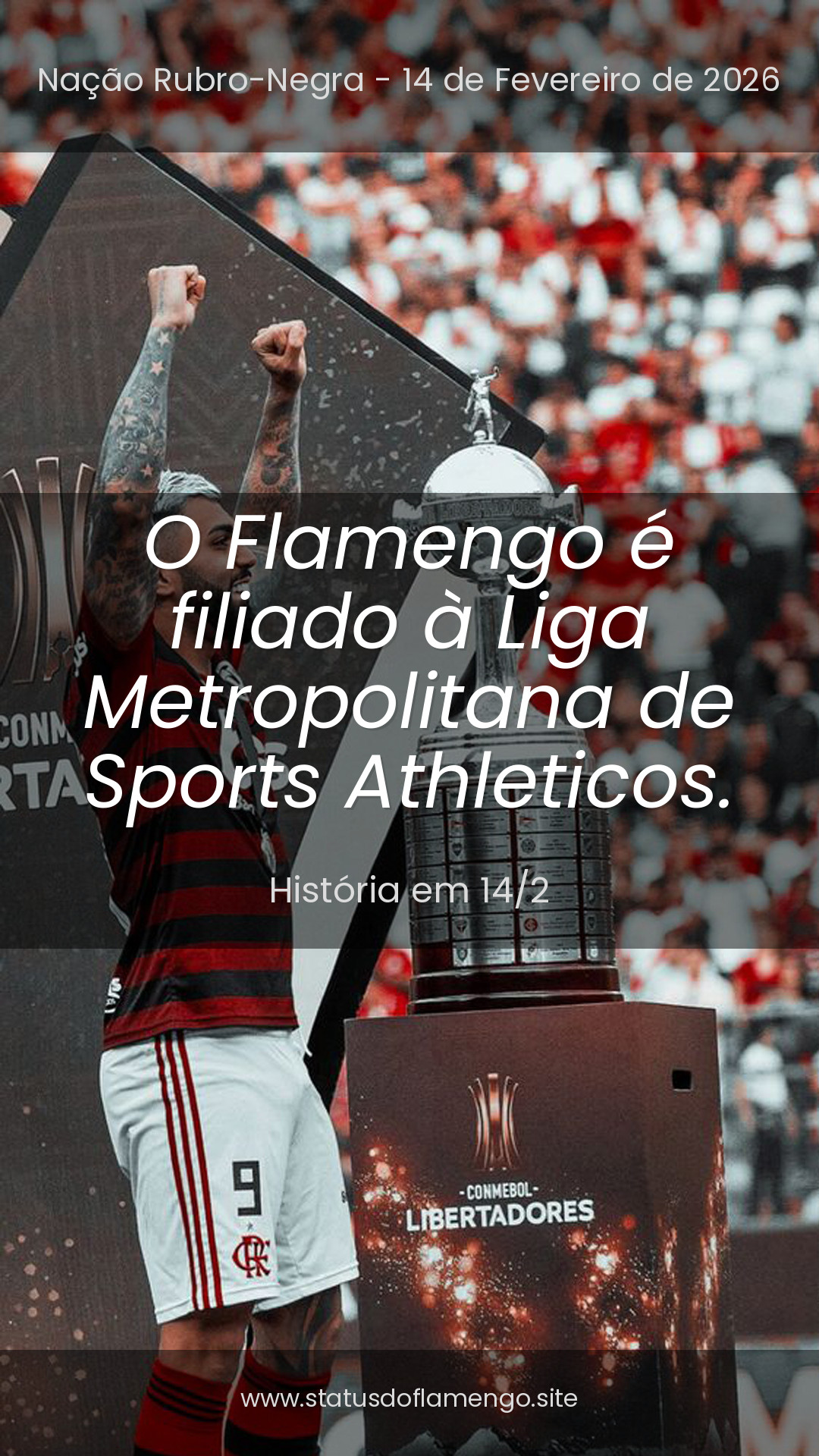 Status Flamengo